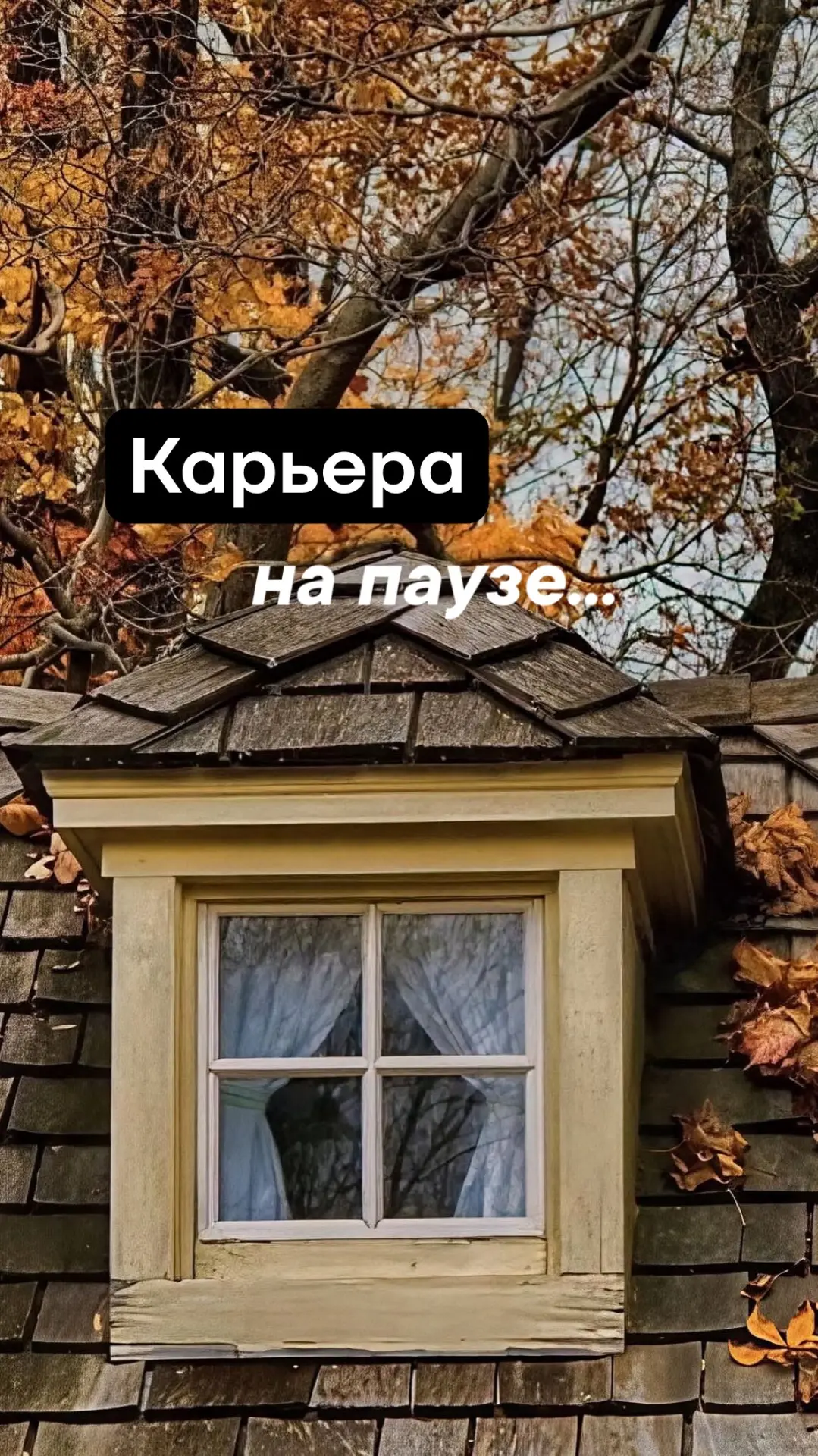 Вы знали, что слово «карьера» с итальянского переводится как «жизненный путь»?