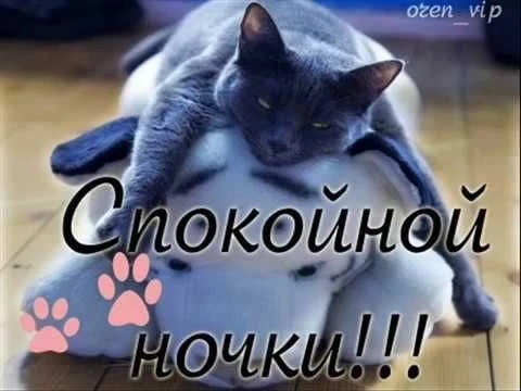Открытки: подписаться ❤️
