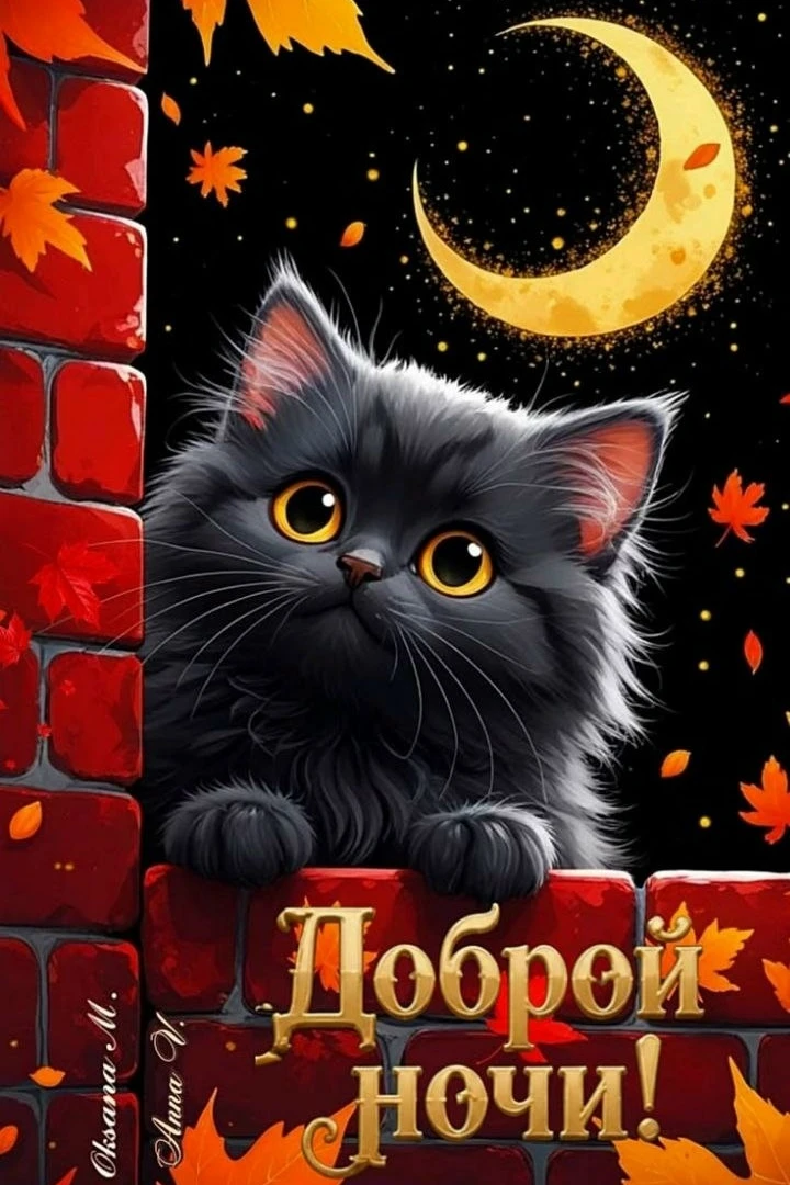 Доброй ночи! Светлого завтра!