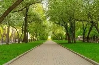 🚧 В ХМАО власти ответили на жалобы родителей из-за дороги к школе в Сургуте