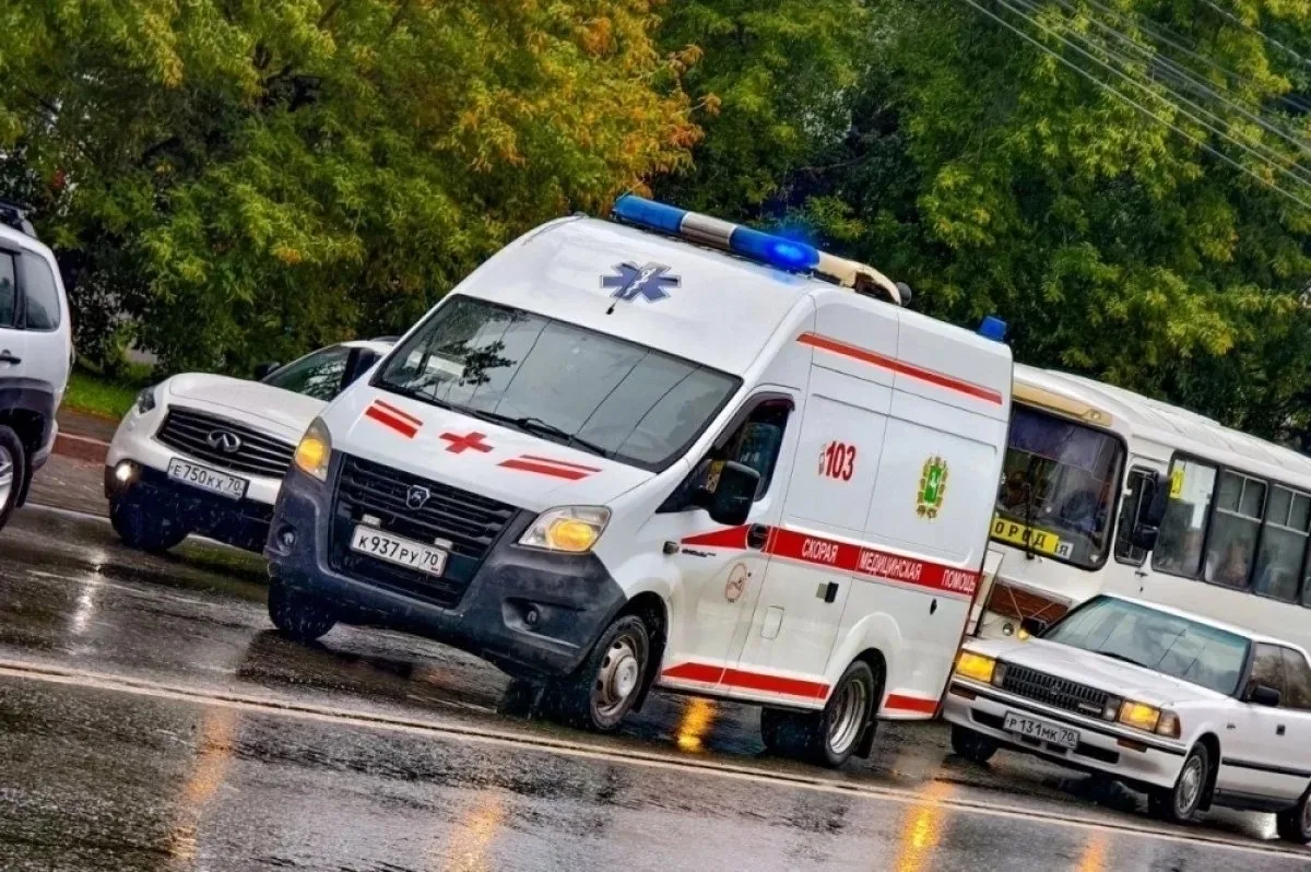Возле деревни Лязгино нашли тело пропавшей в лесу томички