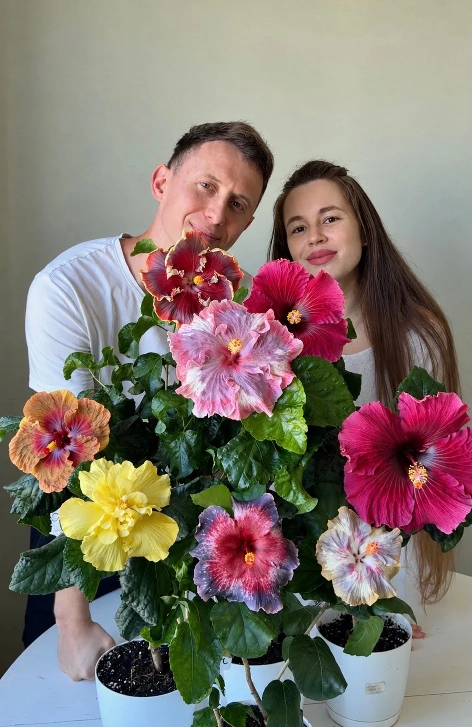 ПРОДАЖА РАСТЕНИЙ — В ЭТУ СРЕДУ😍