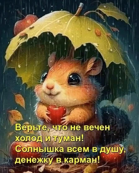 @pozdraf