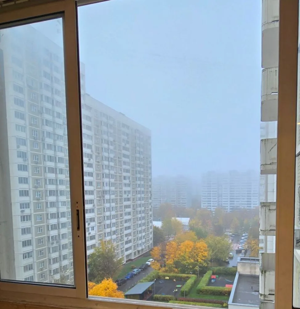 Туман значит, что нам всем будет чуть теплее сегодня🍃🍁🍂☀