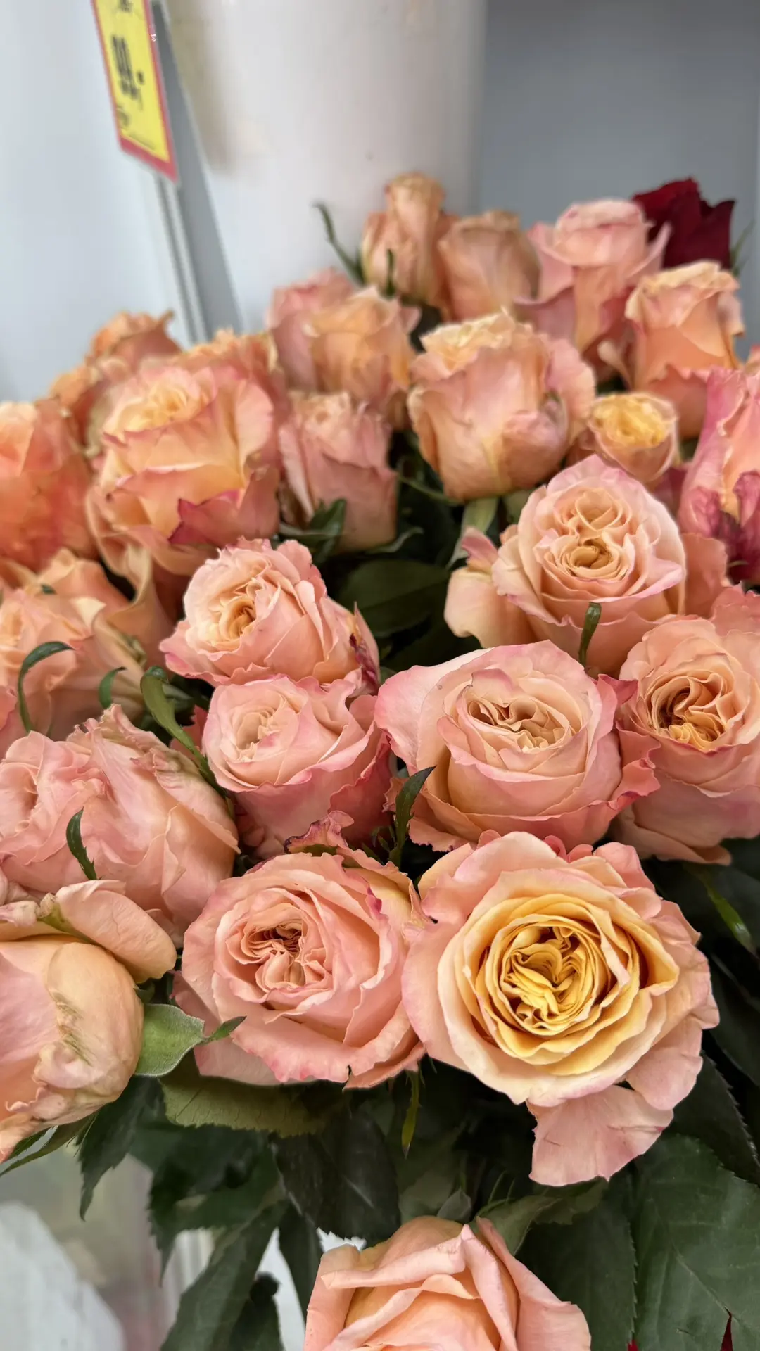 🌷 Срезанные цветы — всегда в наличии по оптовым ценам!