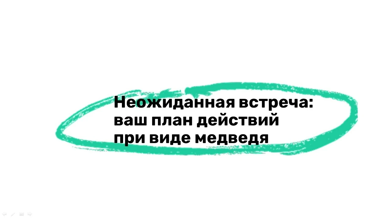 Сегодня в параллели 7-ых классов прошла профилактическая беседа на тему «Неожиданная вс...