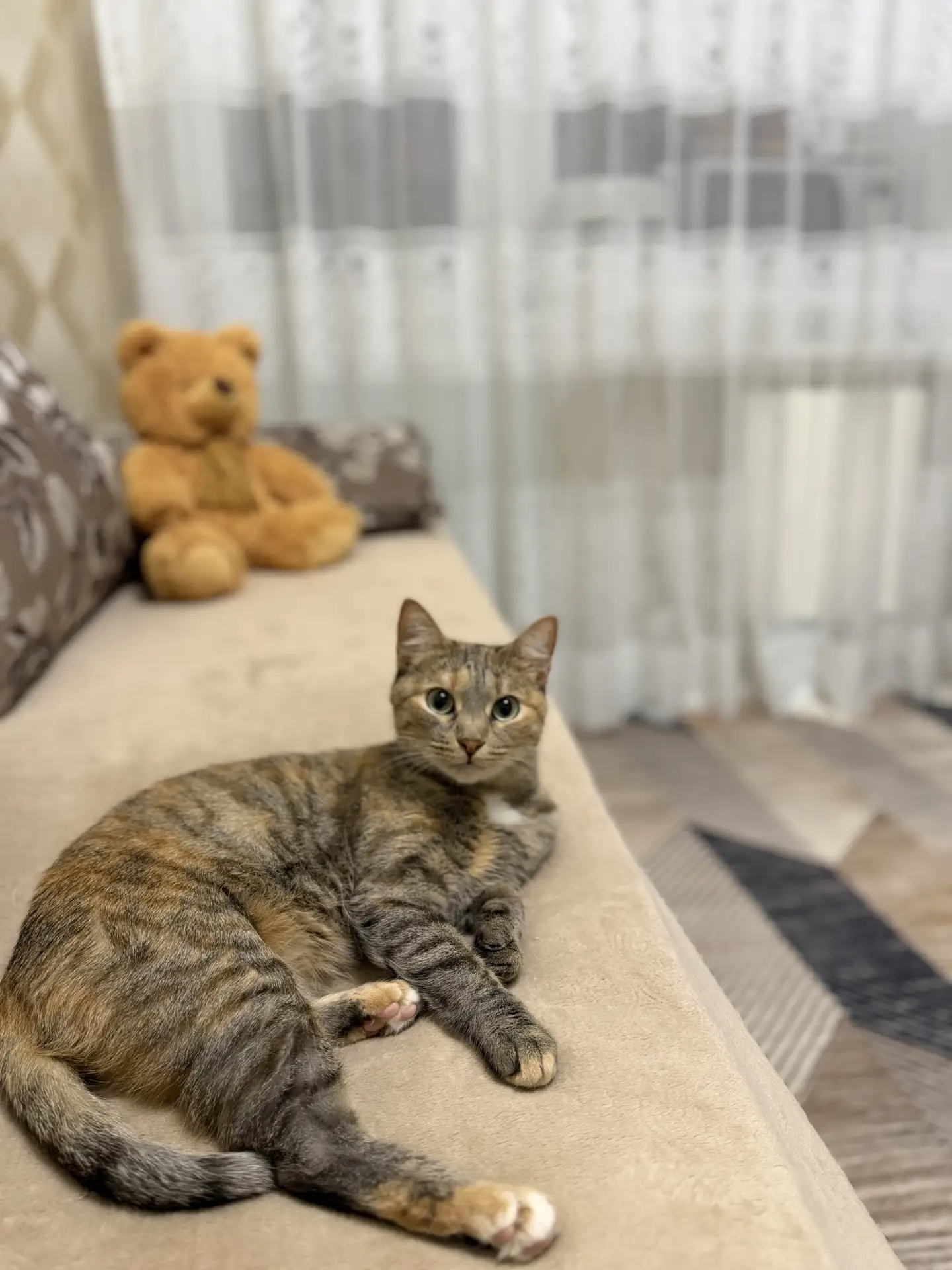 Споки😽