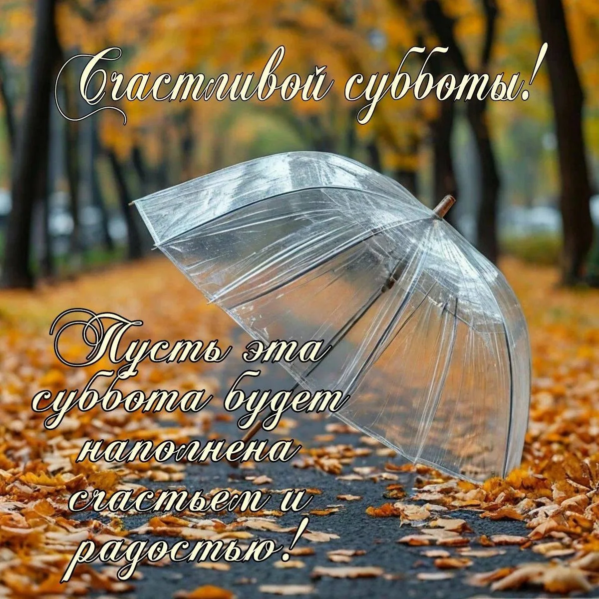 🌷 Открытки подписаться 👈