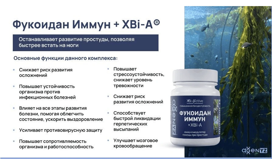 https://alfabads.ru/fukoidan-immun-xbi-a/
