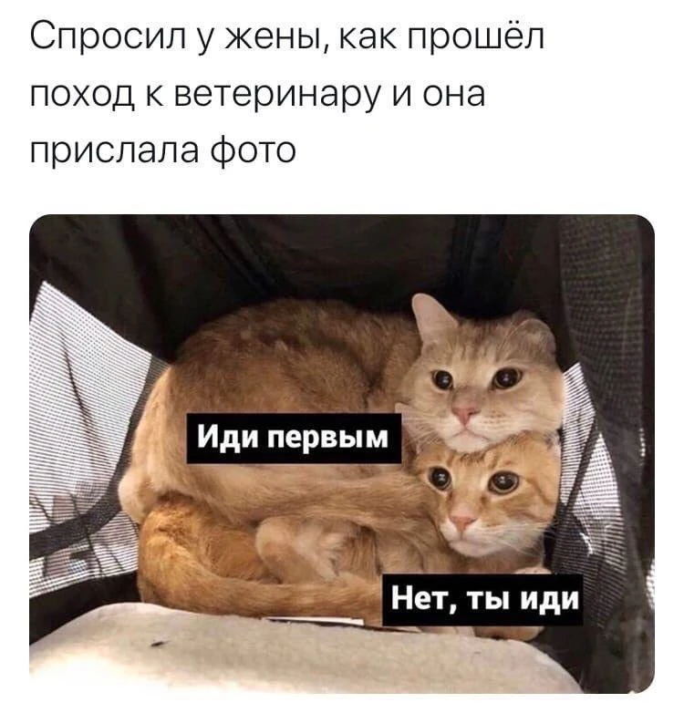 😃Картинки для настроения|👉 Подписаться