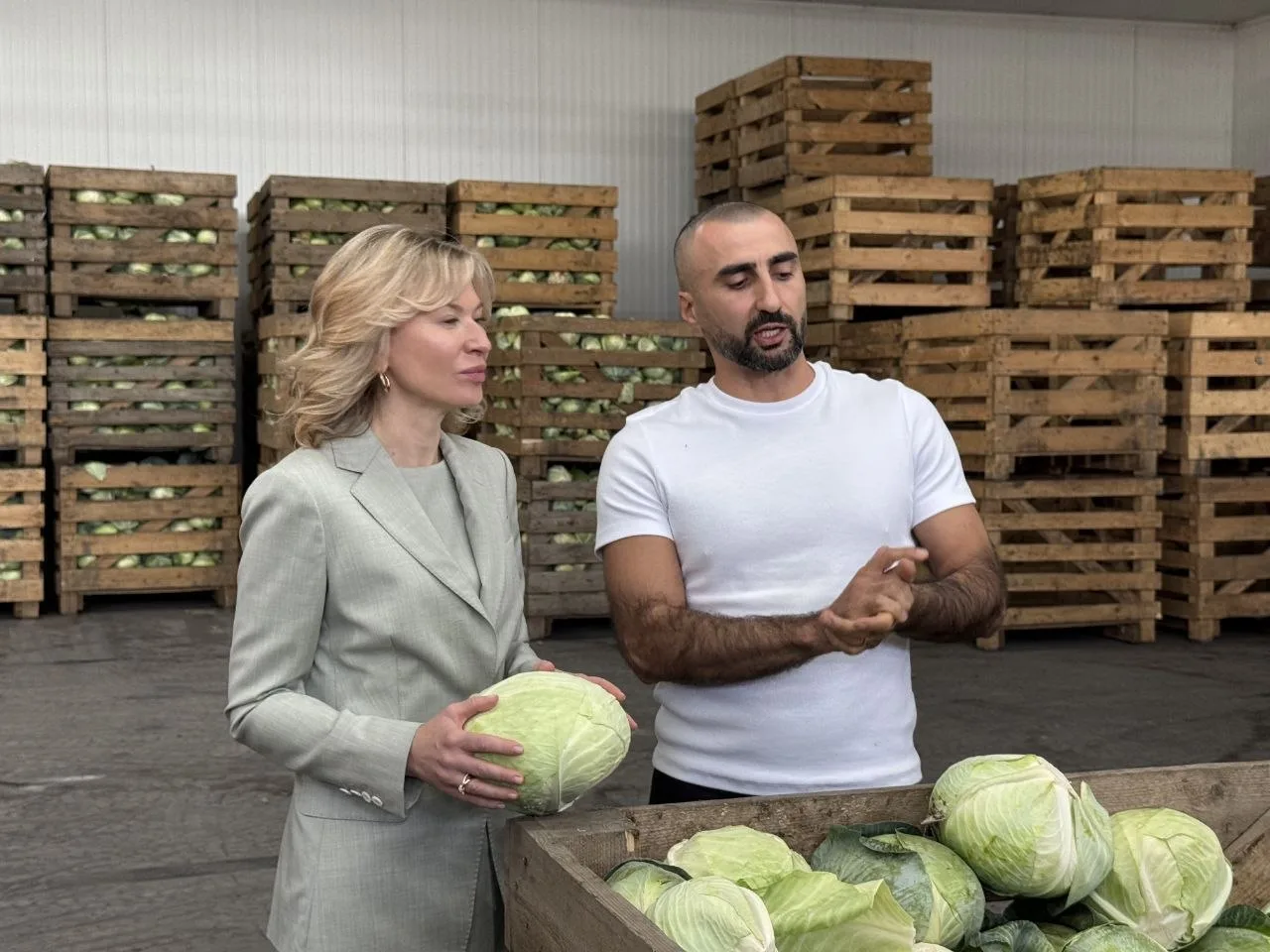 🥬 Сотни гектаров капусты в Семикаракорском районе