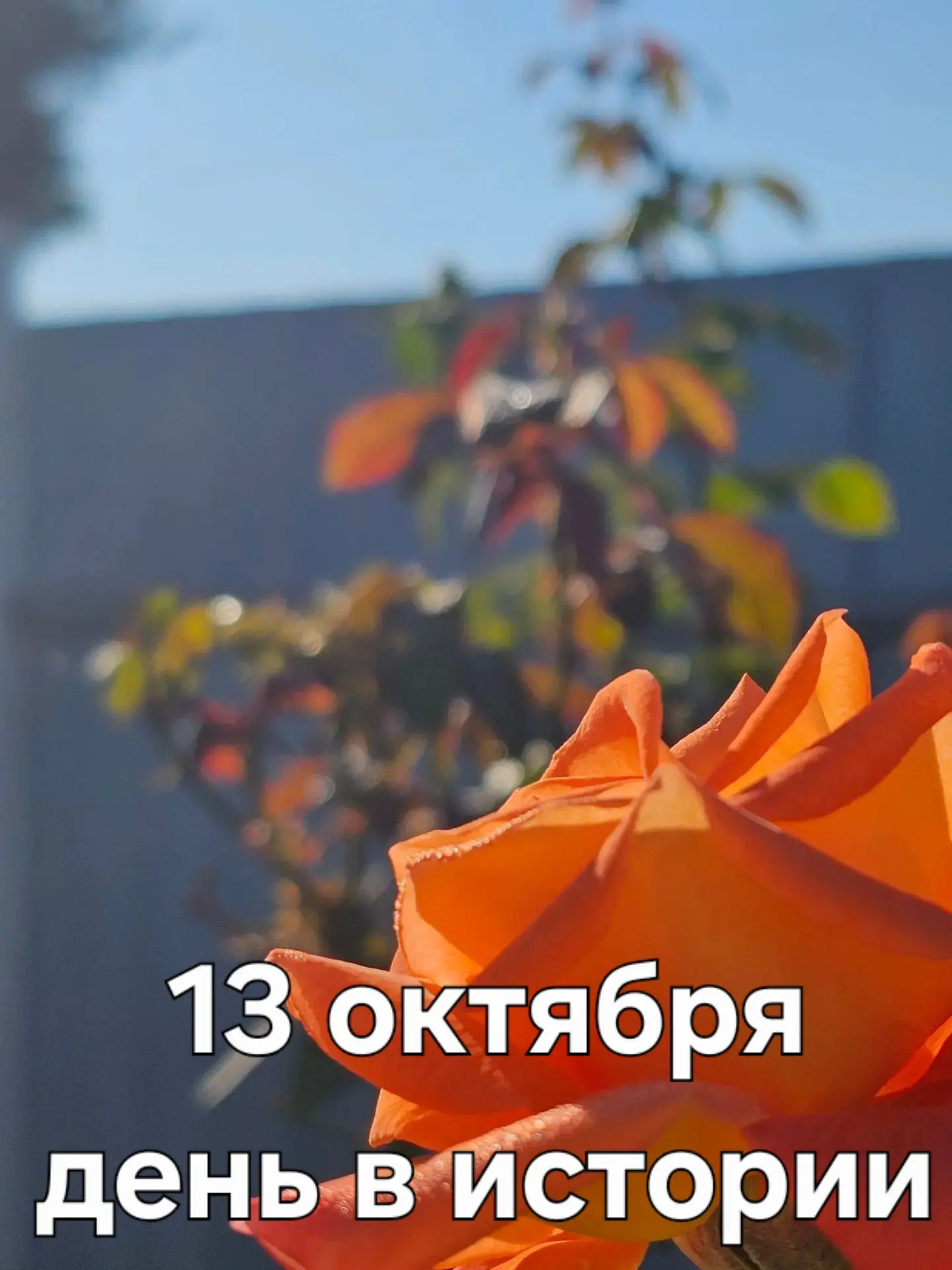 А знаете ли вы, что ❓