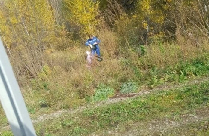 В Мордовии медики «скорой» прошли больше четырёх километров пешком, чтобы спасти 86‑лет...