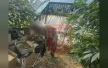 49-летний житель Бахчисарайского района подозревается в незаконном выращивании и хранен...