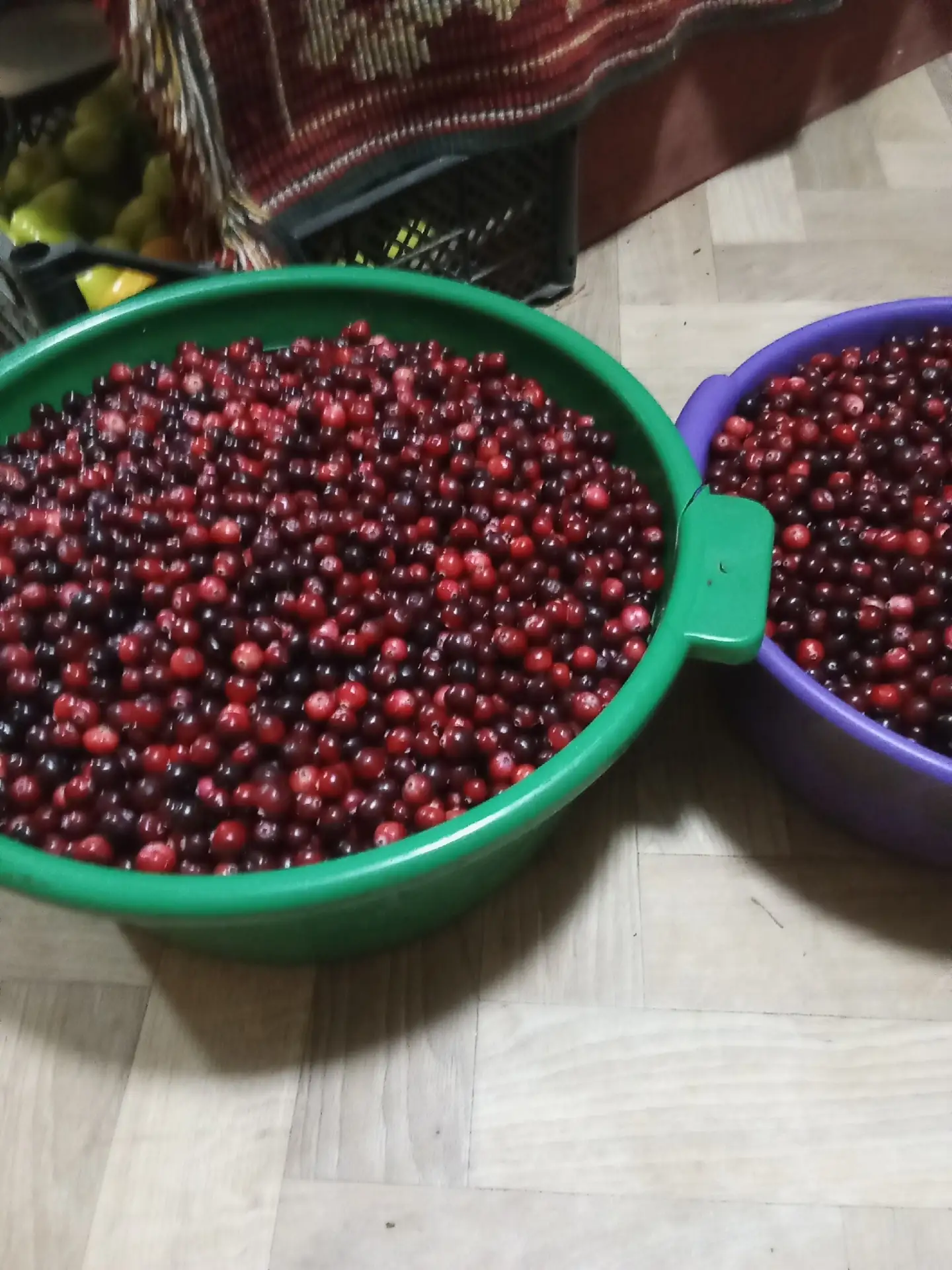 продам клюкву 150р литр 89607143370  анон
