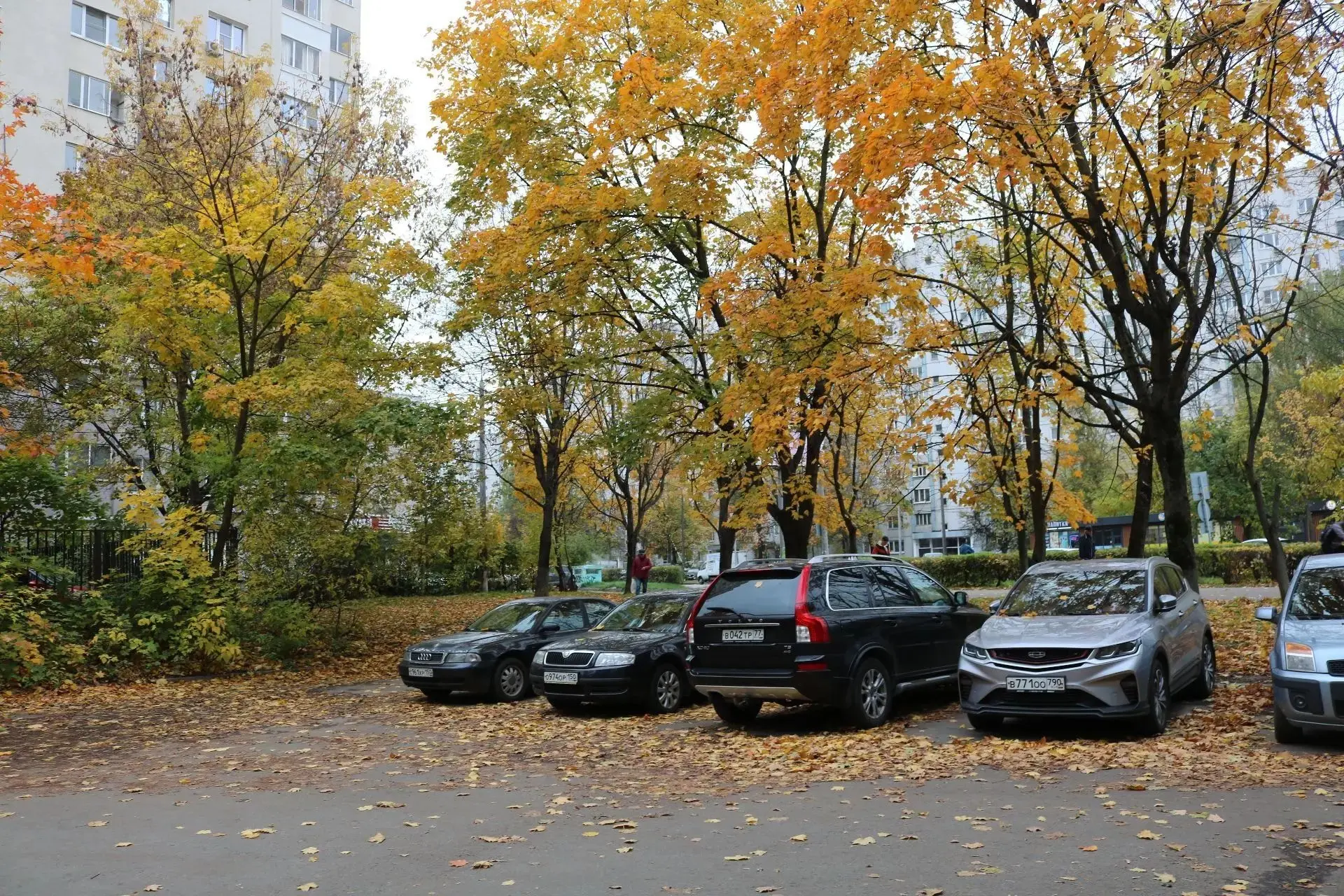 Болшево 🍂