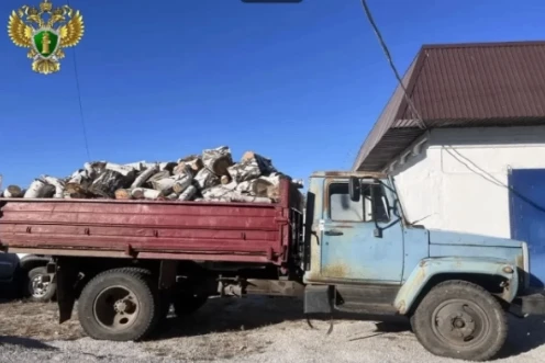 В Варненском районе мужчина получил условный срок за незаконную рубку берёз