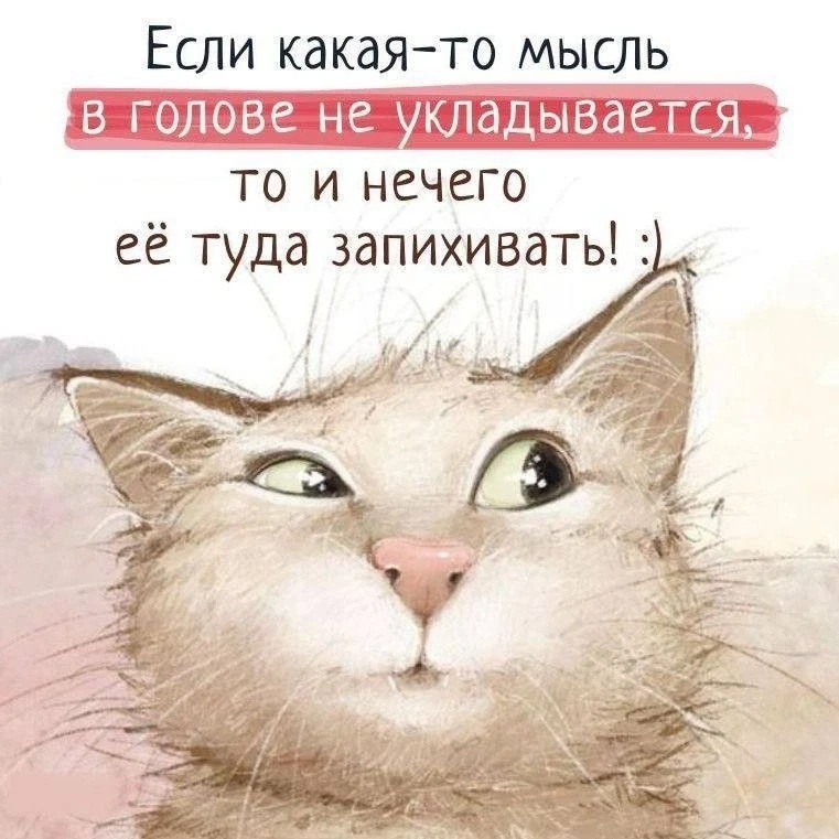 Открытки с юмором 👉@otkritkipozdrav