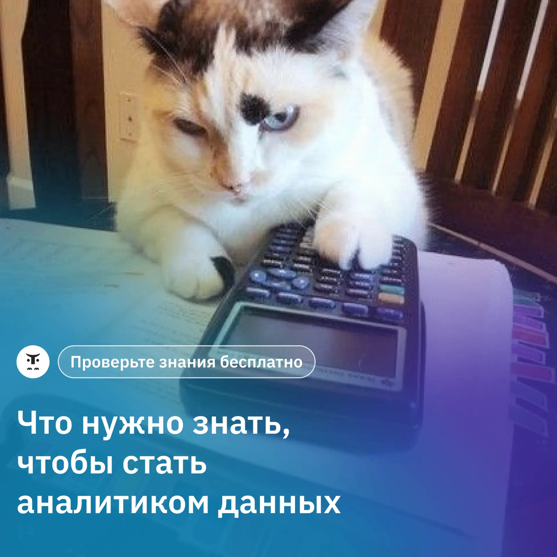 Excel, математика, статистика, умение работать с данными. Что из этого нужно аналитику ...