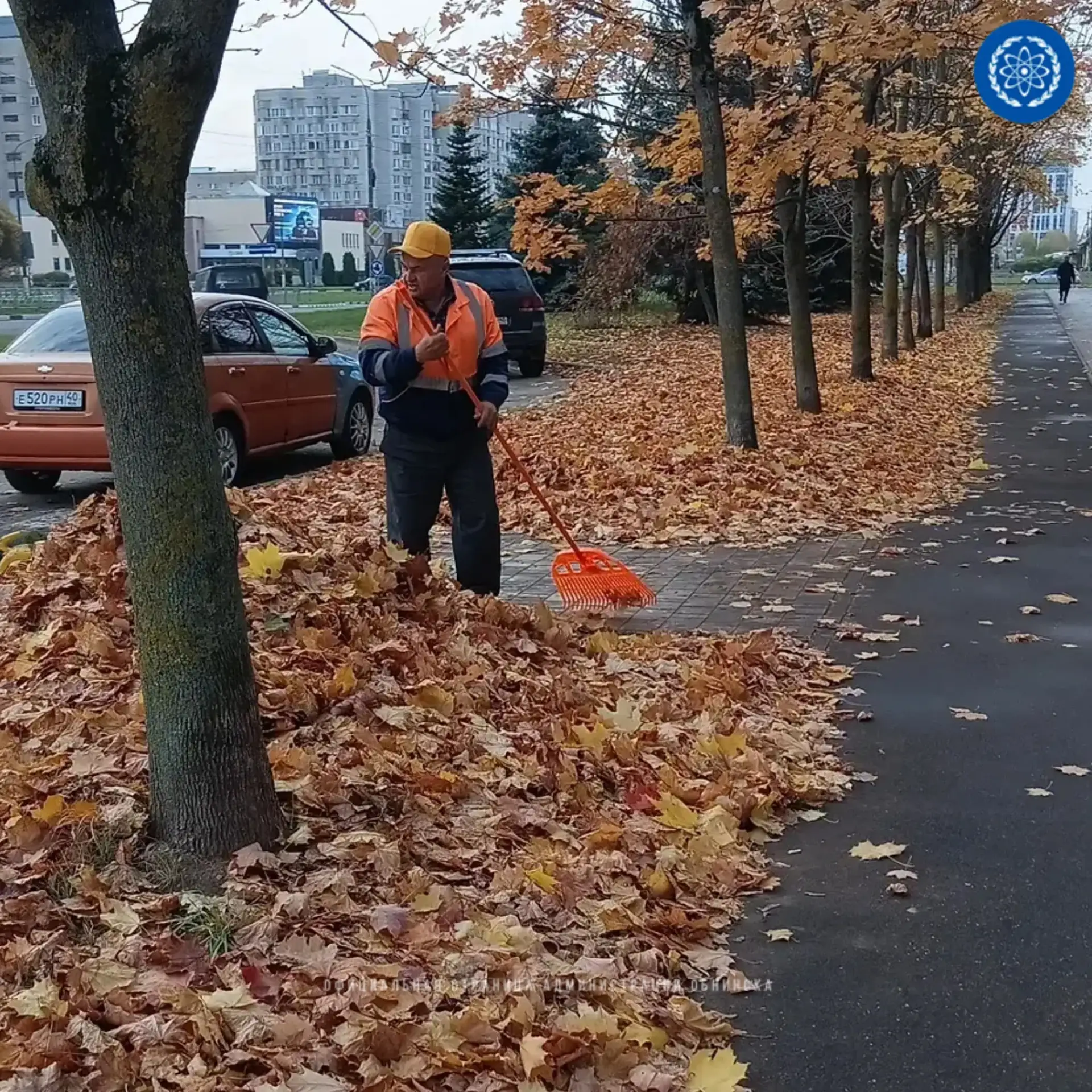 Осенняя уборка продолжается