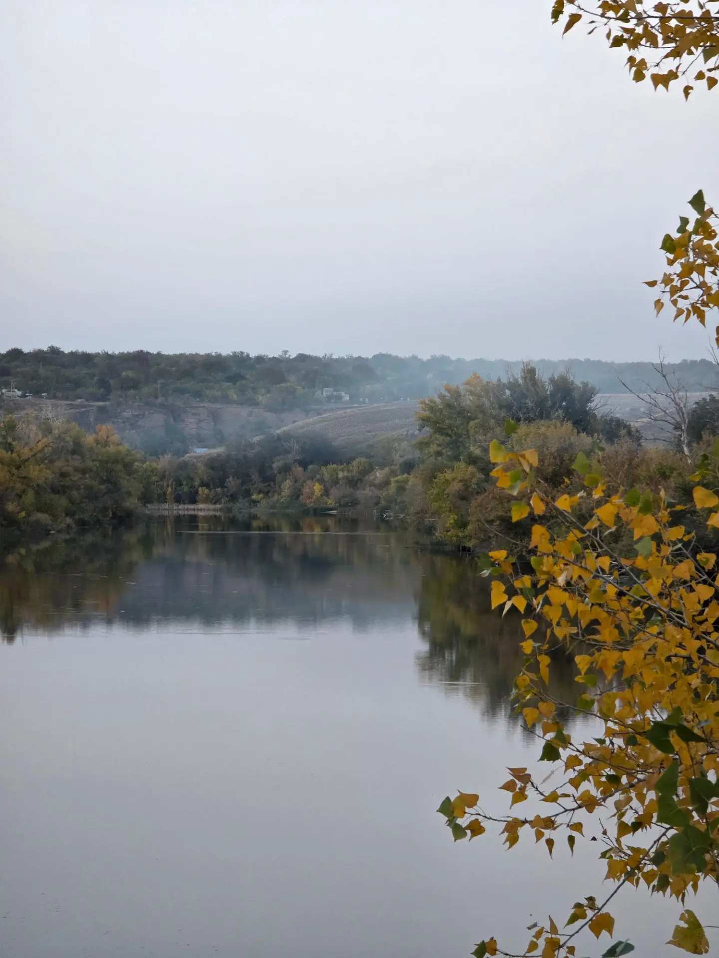 🍂 В городе уже чувствуется осень. Пожелтели деревья.