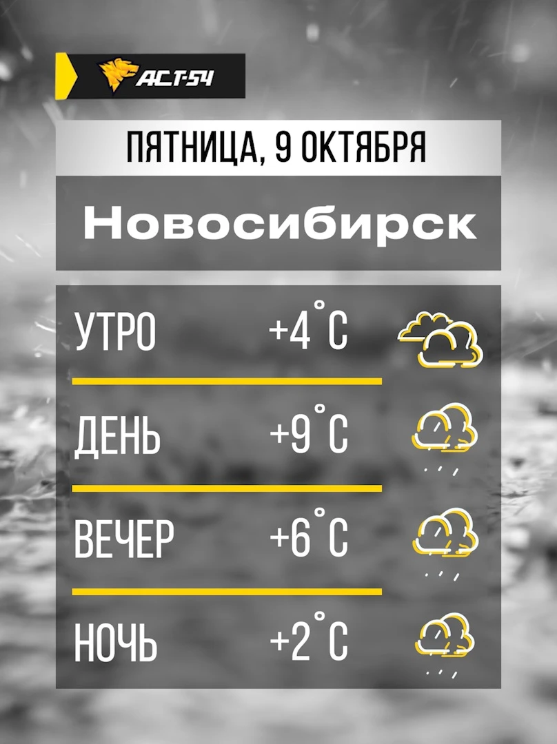 ☔️ Новосибирск, доброе утро! В течение дня в пятницу прогнозируются дожди.