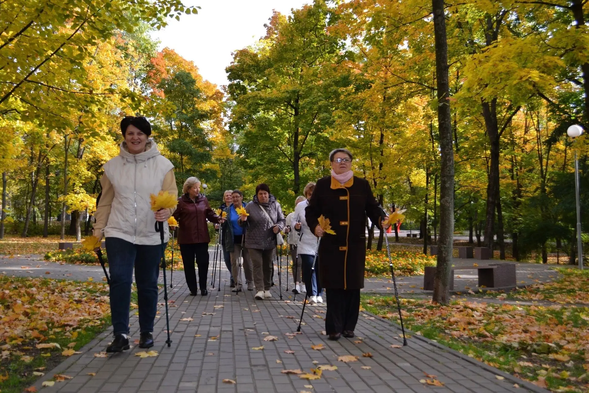 🍂🍁 Золотая осень и скандинавская ходьба: секреты бодрости для зрелого возраста