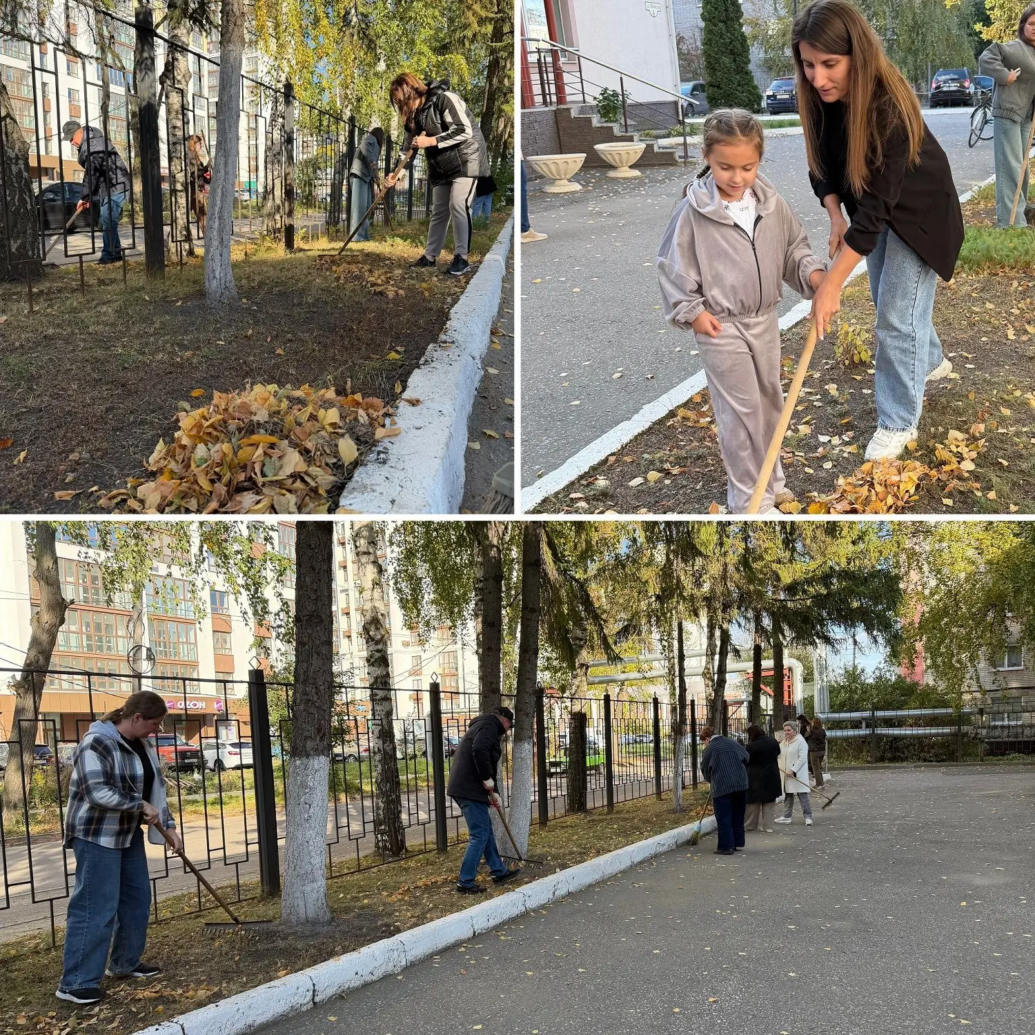 МФЦ 🏢  продолжает поддерживать городскую акцию по благоустройству 🌇