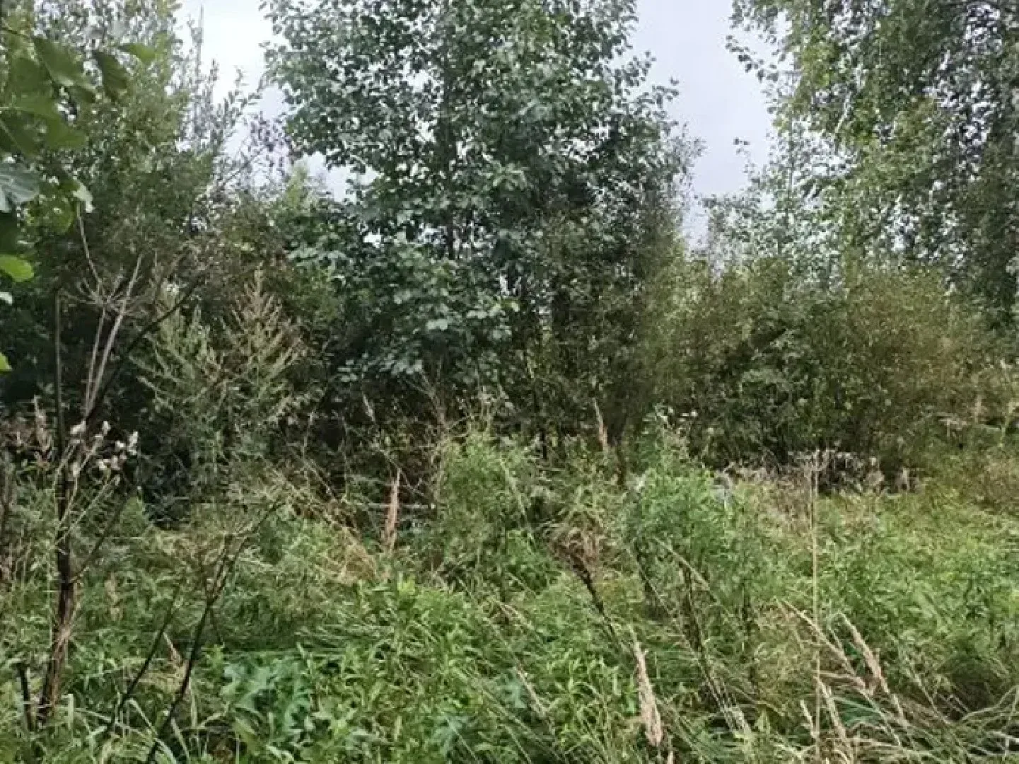 Самый доступный участок недели был сдан в аренду в Воскресенске.