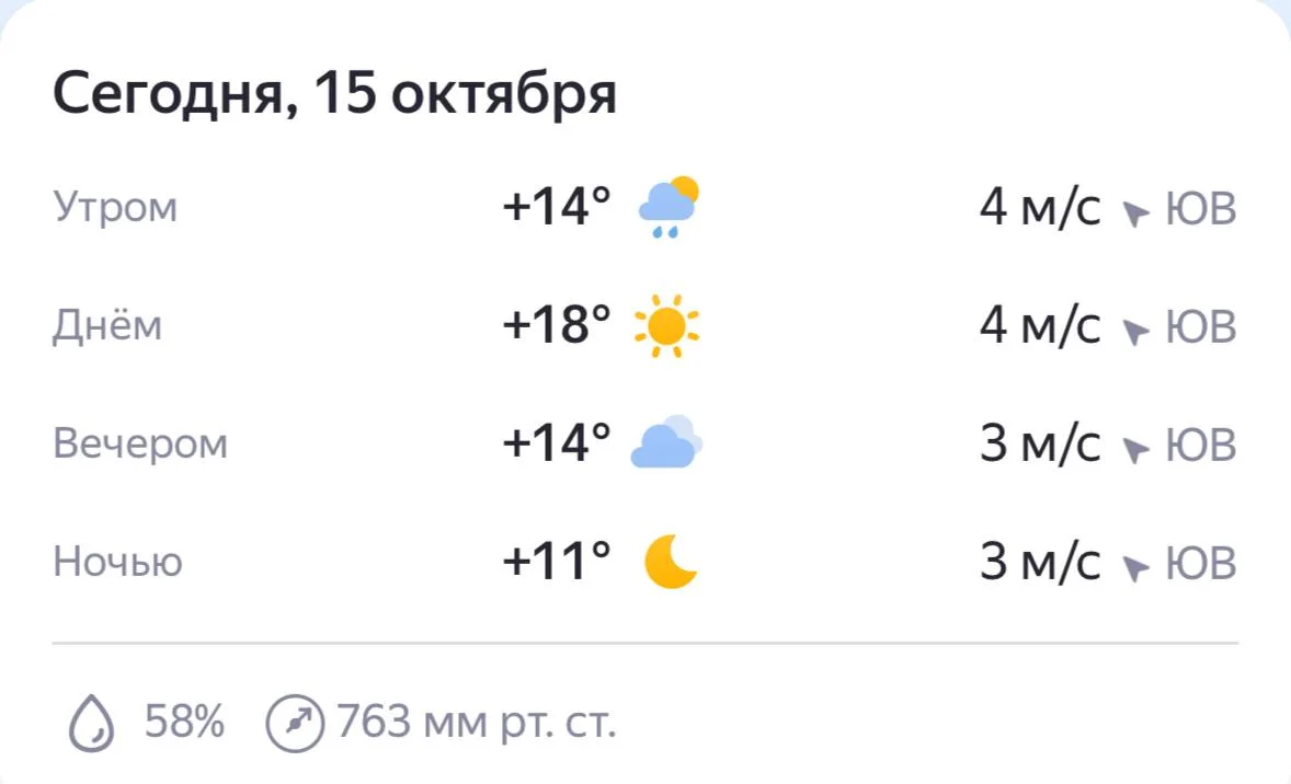 Погода: дождь. Ветер — 1-3 м/с порывами до 4 метров в секунду. Полный прогноз от синопт...