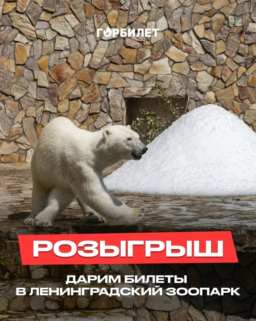 Дарим билеты в Ленинградский зоопарк
