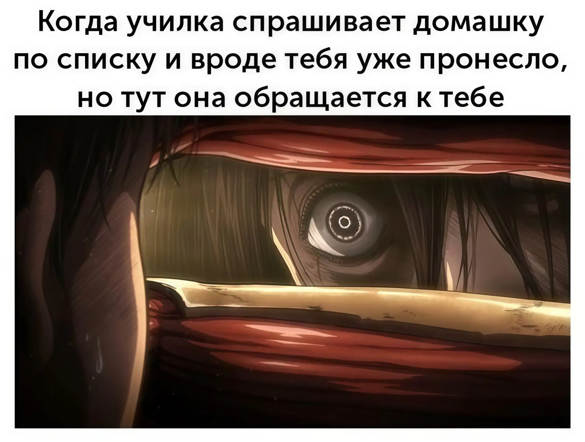 🔘 наши проекты