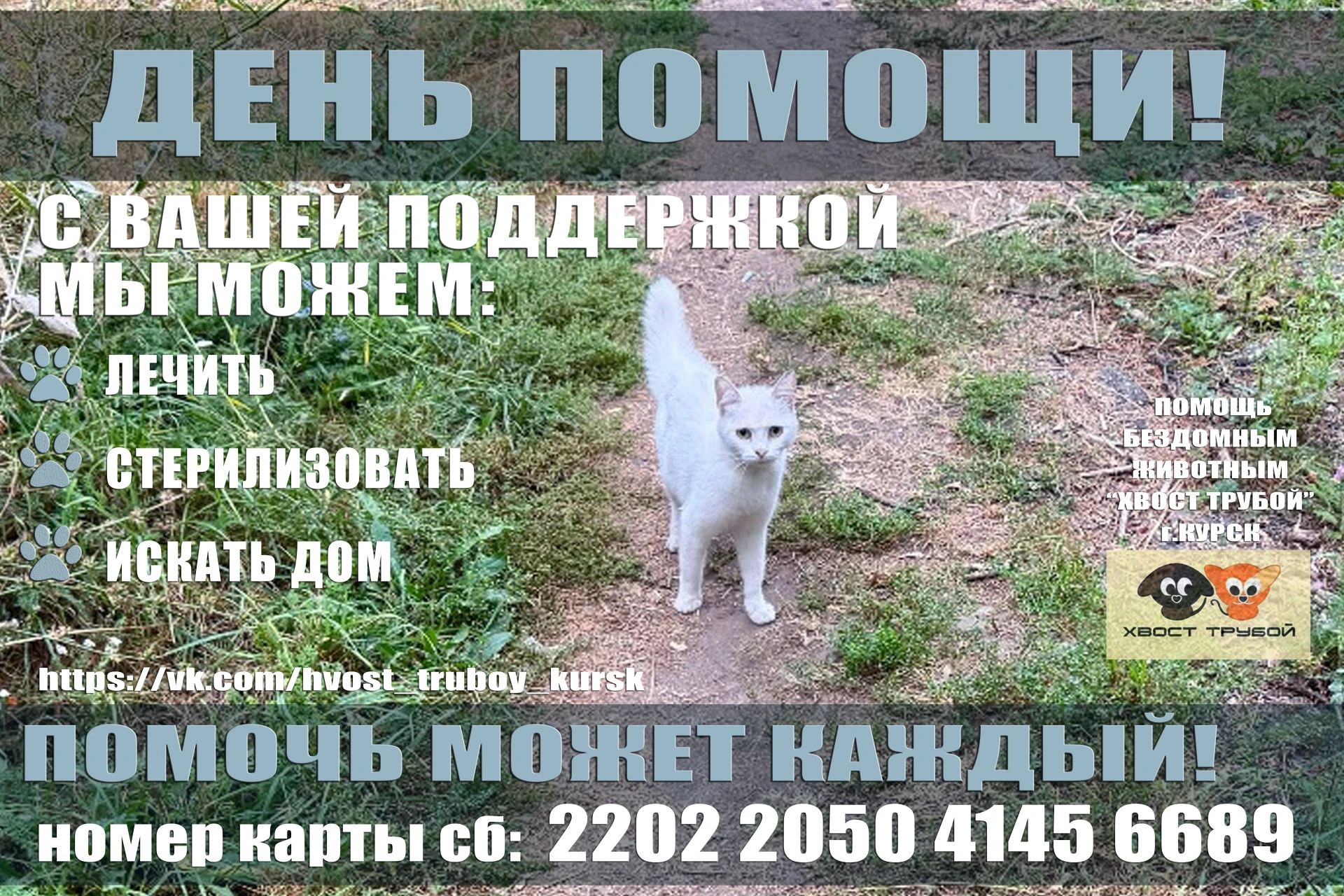 ДЕНЬ ПОМОЩИ!