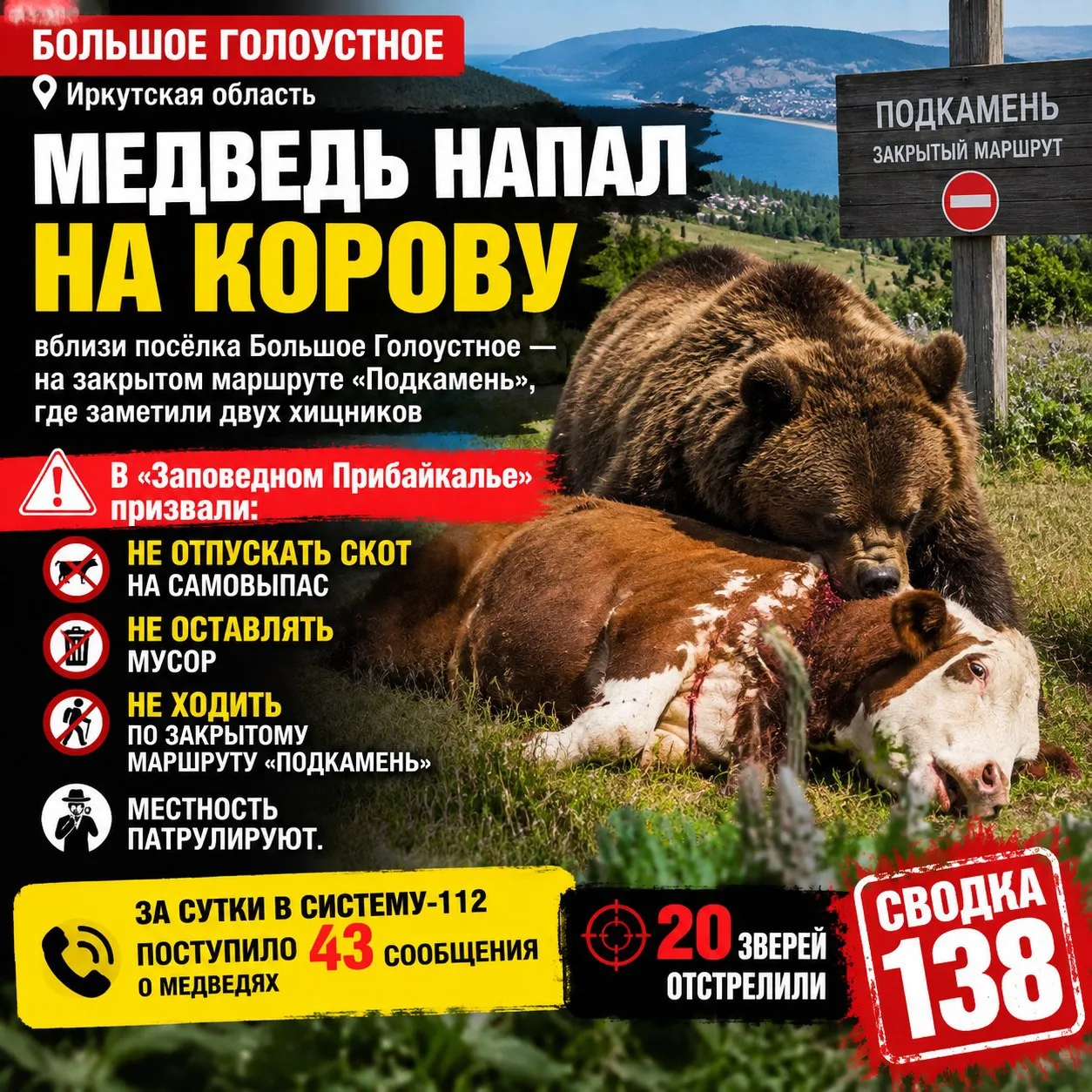 ⚠️‼️💥Медведь напал на корову вблизи посёлка Большое Голоустное — на закрытом маршруте ...