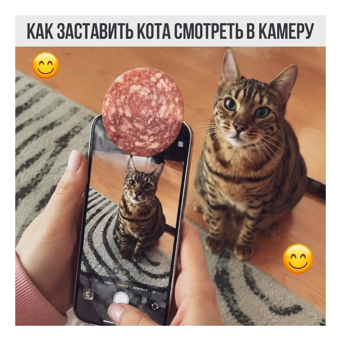 Смешные картинки и видео каждый день 🤣