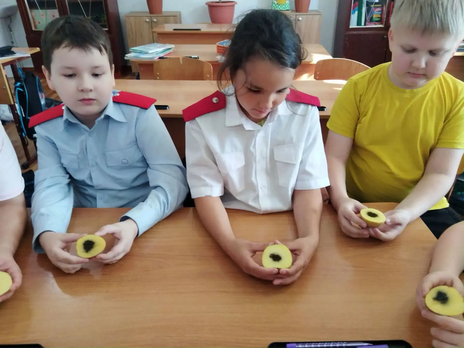 🥔Магия науки на кухне: почему картофель синеет от йода?🧪