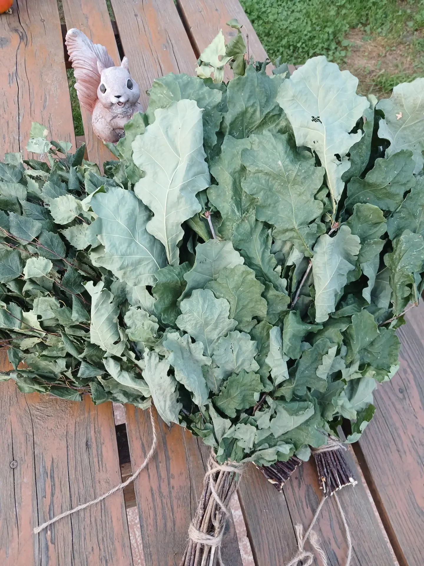 Продам ВЕНИКИ ДУБОВЫЕ.