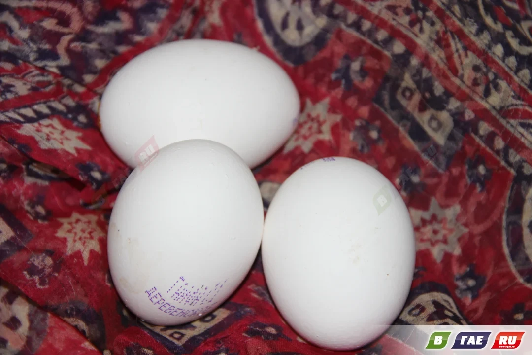 В Гае парковочную войну решили куриными яйцами 🥚