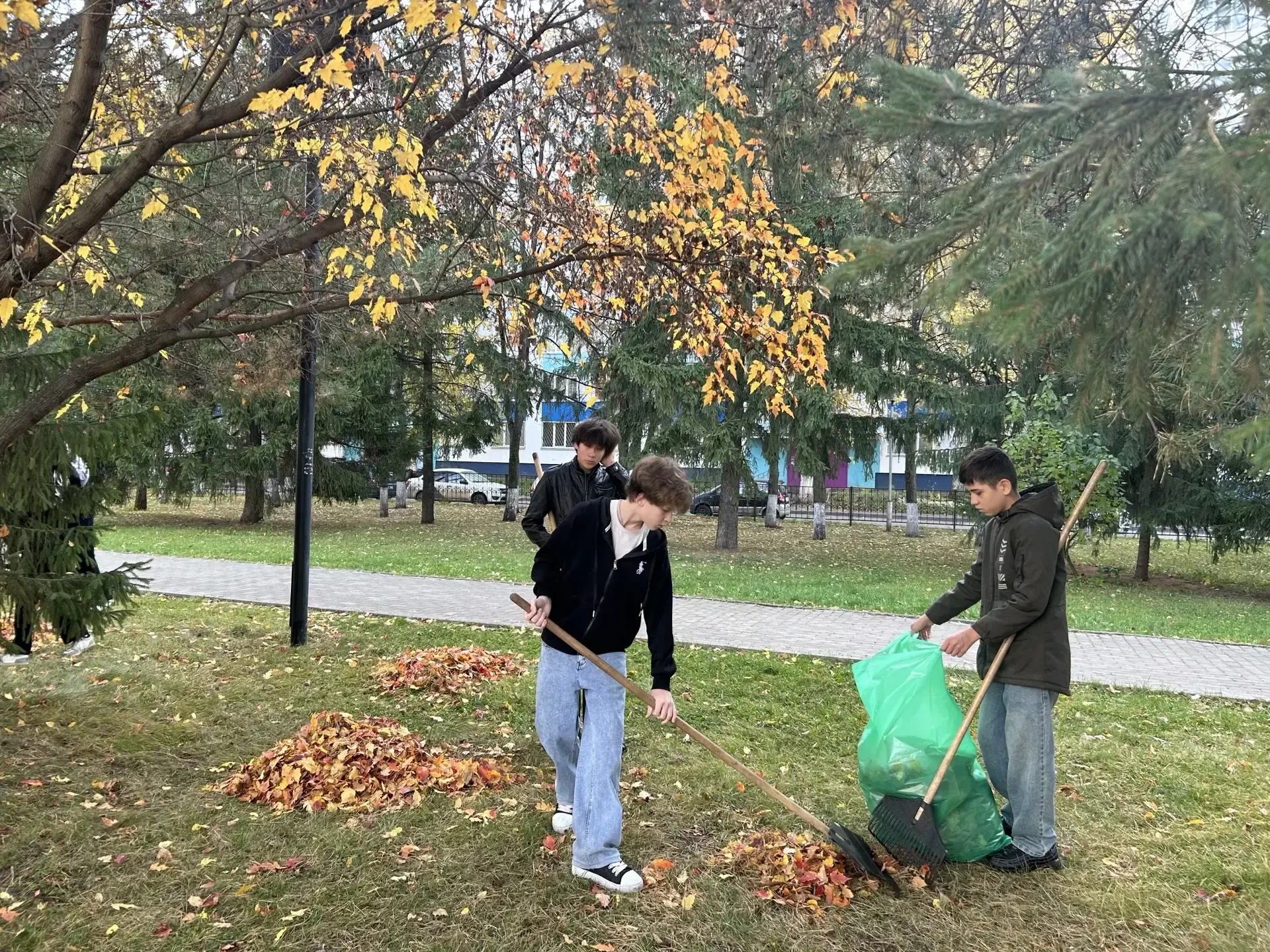 🍁 Граблями шуршали — листву собирали!