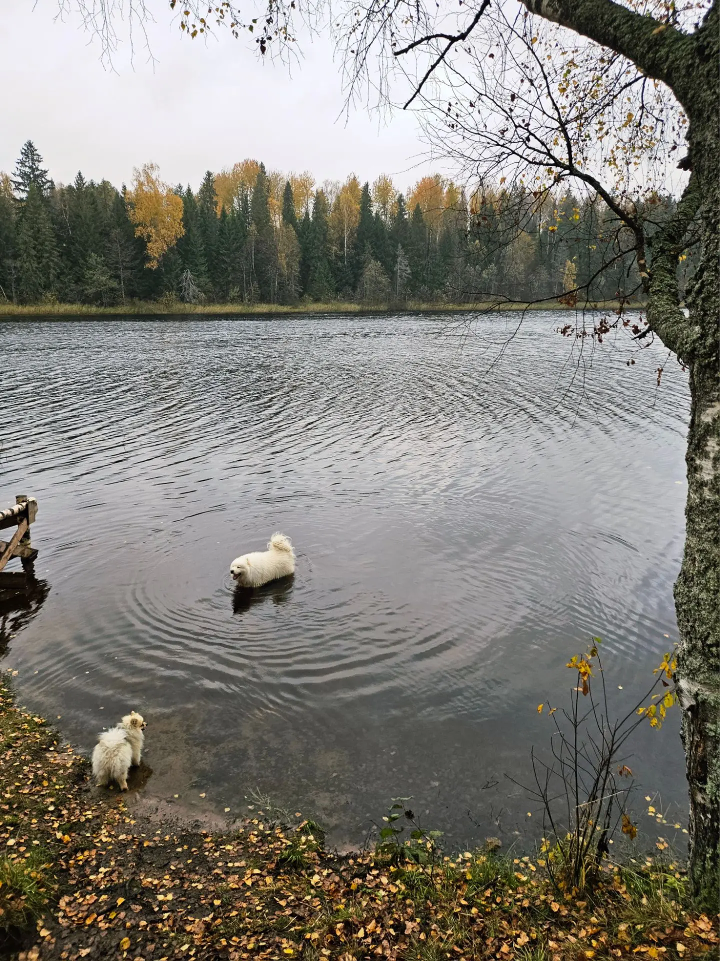 Селигер. Опять🧡