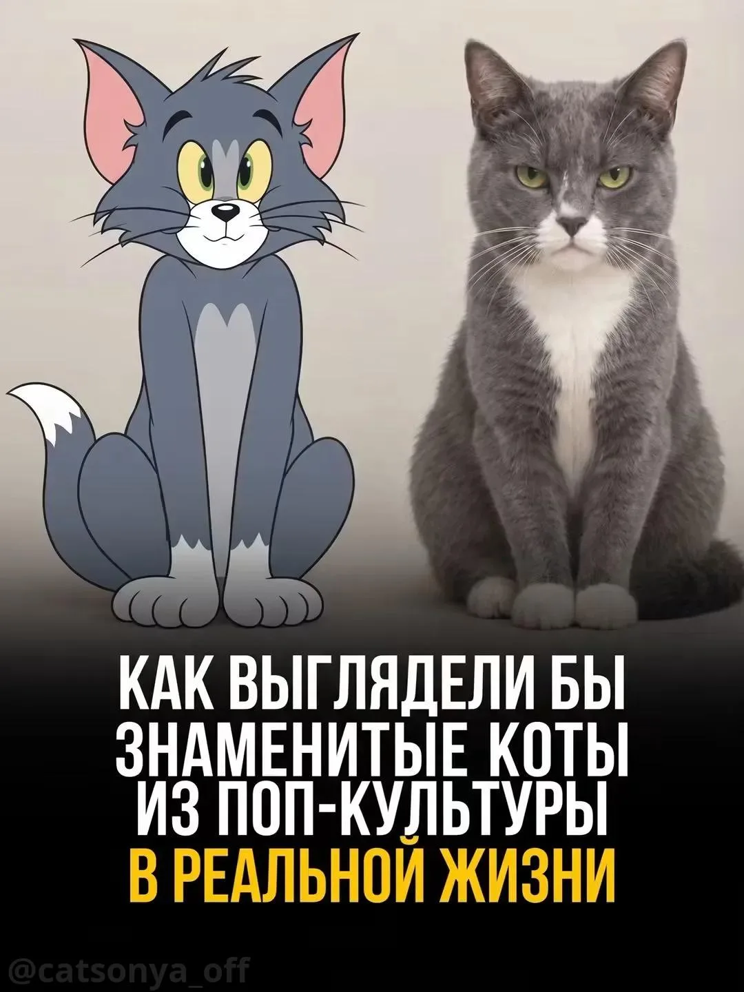 🐱🐾 А если бы знаменитые коты из поп-культуры существовали в реальности?