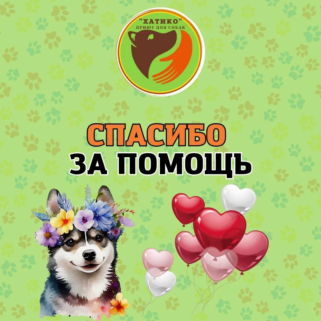 Огромное спасибо  Денису! На прошлой неделе он привез каркасы и заполнил наши лари для ...