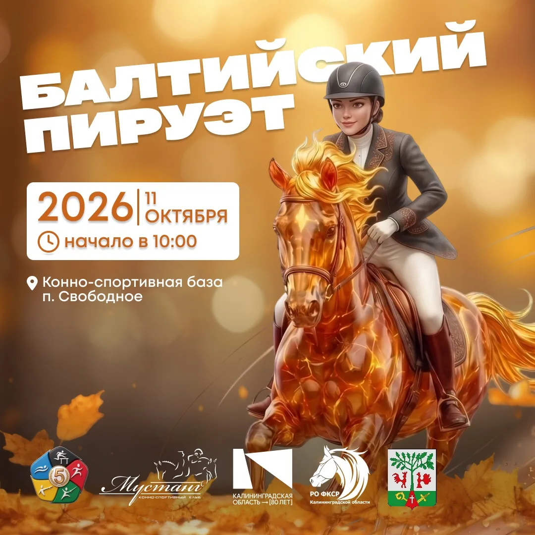 ‼️Анонс‼️