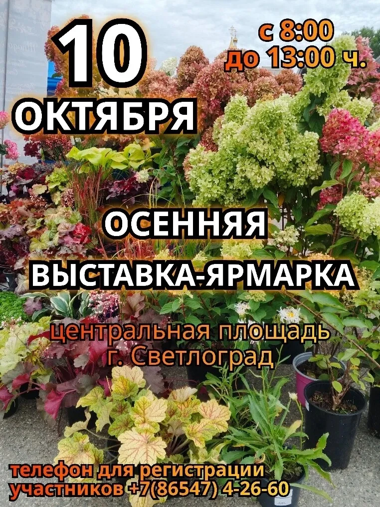 Уважаемые жители и гости города Светлограда! Приглашаем вас посетить осеннюю ярмарку 10...