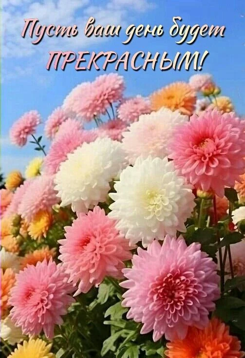 Открытки любимым 🌸🥰