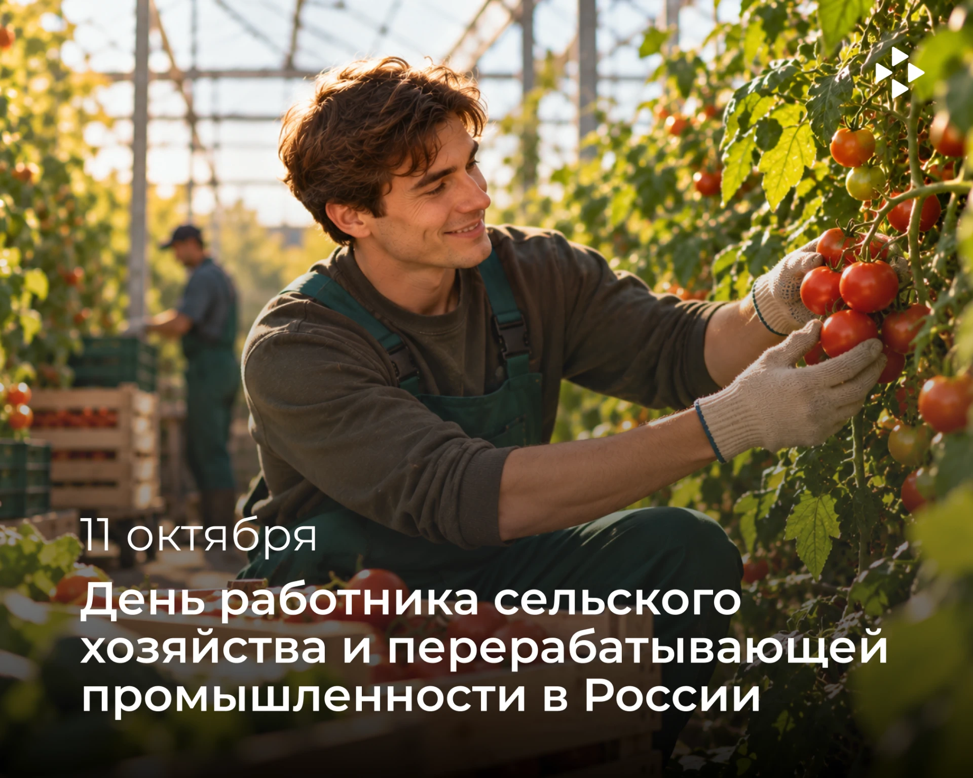 🌾 День работника сельского хозяйства и перерабатывающей промышленности
