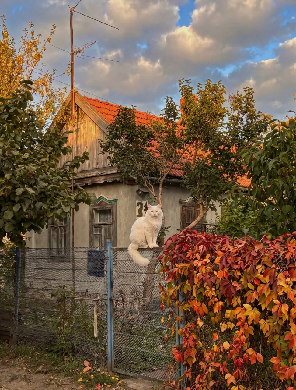 Доброе утро, котятки 🫶🏻