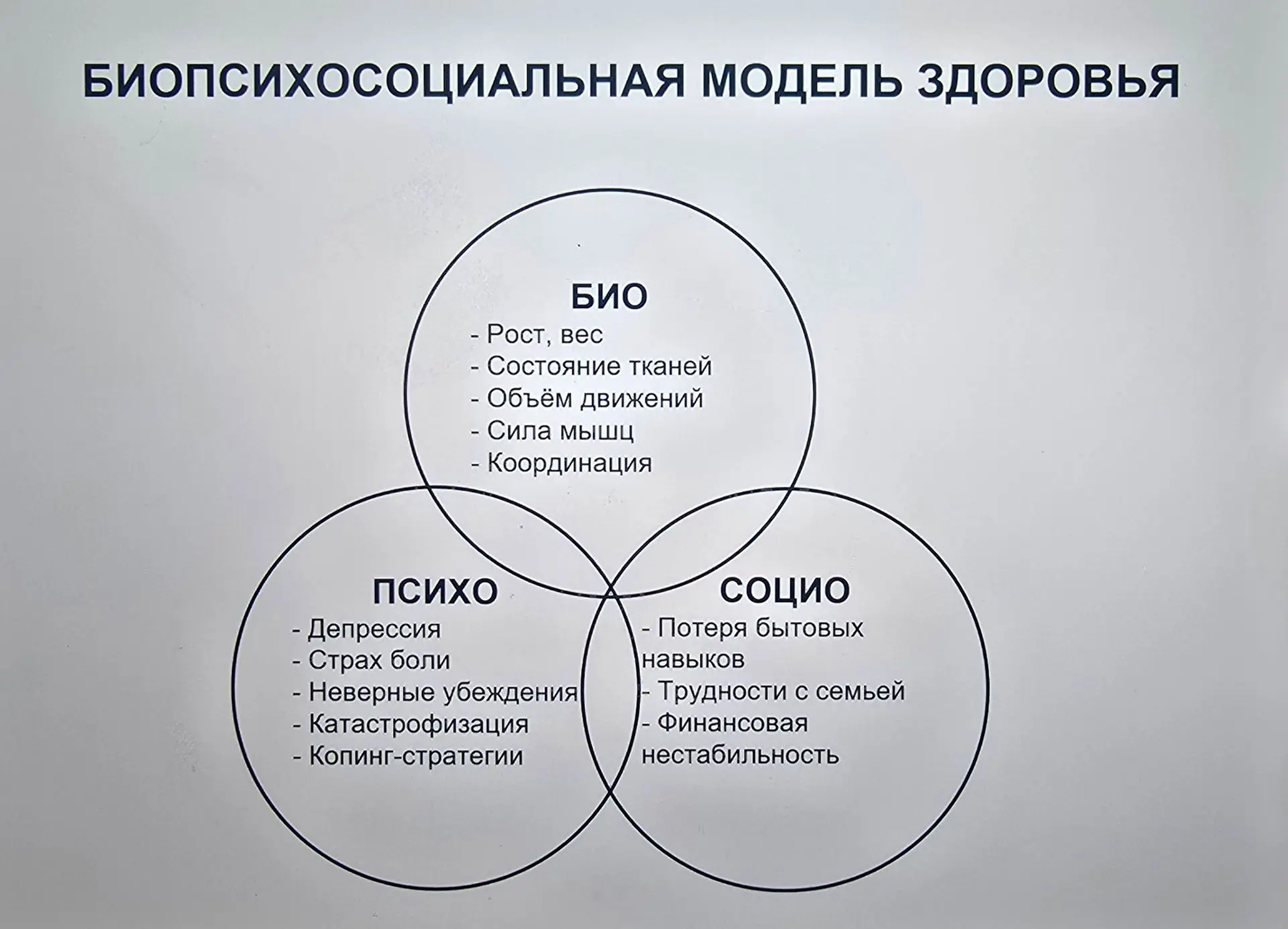 Почему боль в спине - это не только «износ диска». Главный секрет эффективной йогатерапии