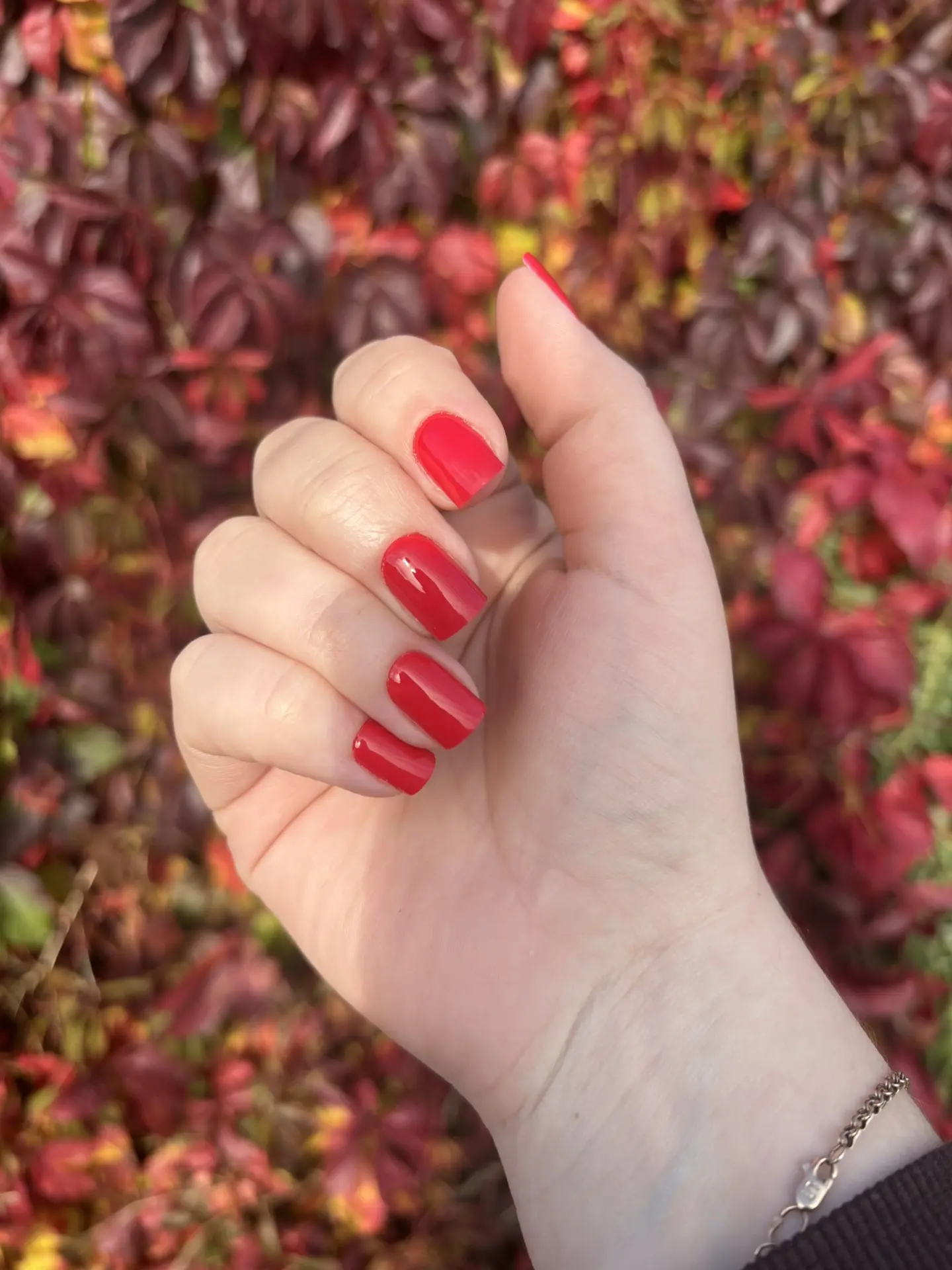 ❤️❤️❤️