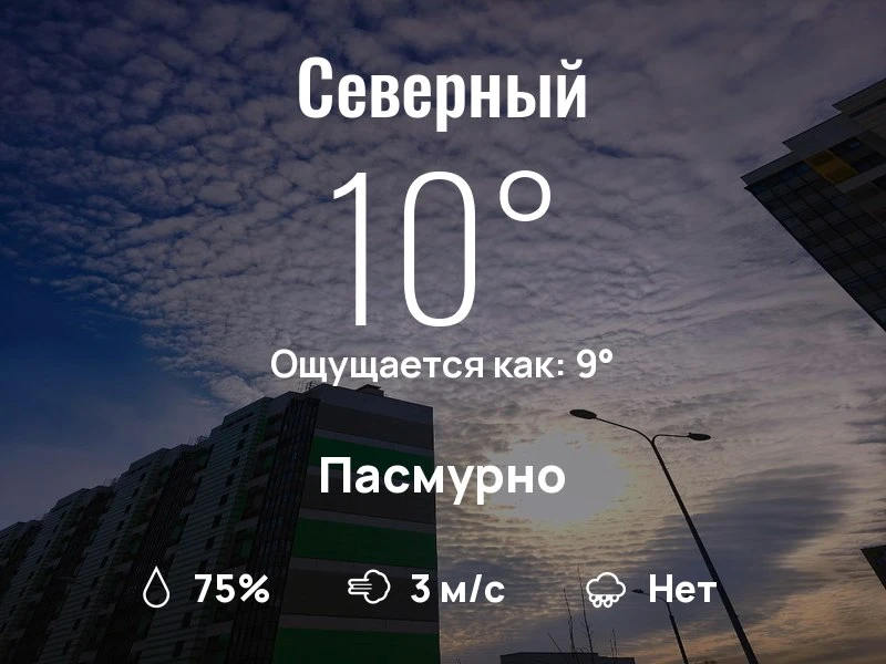 Что с погодой в Северном?